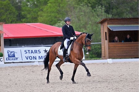 Timo Kemmerer gelang in der Qualifikation DERBY Stars von Morgen von Ansbach ein starker Doppelerfolg.  | © Dill