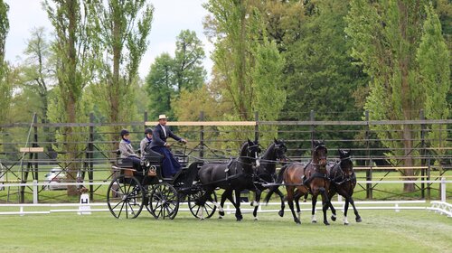 Michael Brauchle in der Dressurprüfung in Kladruby nad Labem. | © Herbert Rauser