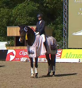 Meike Lang und Nikky gewinnen das Dressurfinale der Sechsjährigen.
