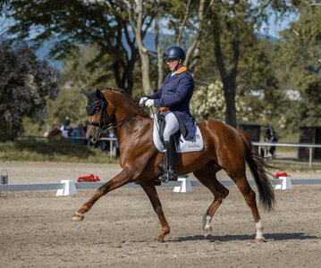 Pieter van der Raadt mit D'Cinzano | © www.taliakefenz-fotografie.de