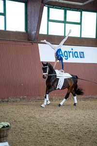 Lara Andrew wurde als erste Reservistin für die Europameisterschaften der Nachwuchsvoltigierer nominiert. | © Daniel Ellwanger