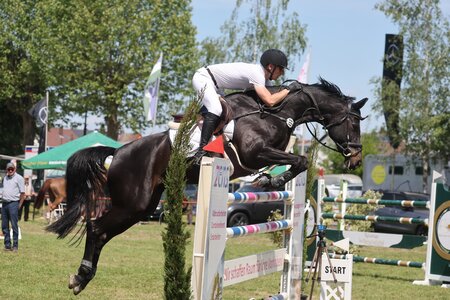 Peter Döffinger mit Shanuc | © D. Matthaes