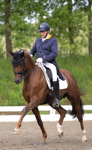 Pieter Van der Raadt mit D'cinzano | © www.taliaklefenz-fotografie.de