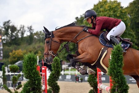 Elisabeth Meyer und Erfolgsstute Oratrice vd Donkhoeve  | © Dill (Archiv)