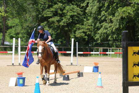 Aufgepasst: Es kann noch für den WPSV-Allroundreiter Cup angemeldet werden. | © Knisel-Eberhard