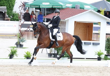 Ines Fleischmann sicherte sich in der Dressurpferde S mit DSP Bella Benicia den Sieg.  | © Roger Müller
