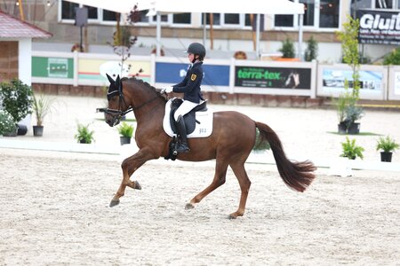 Laura Kohoutek galoppierte mit Der kleine Sunnyboy in der Pony Master Qualifikation allen davon. | © Roger Müller