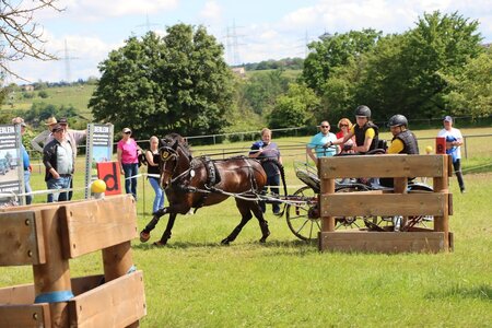 Anna Grundmann mit Pony Nora im Gelände | © Herbert Rauser