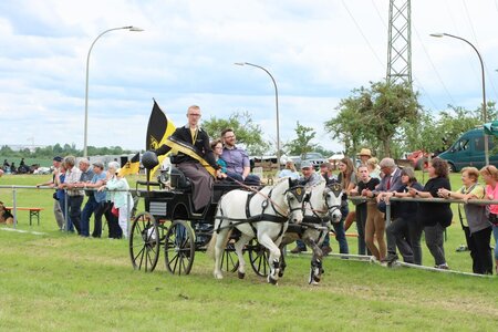 Lukas Veit mit seinen Ponys bei der Ehrenrunde | © Herbert Rauser