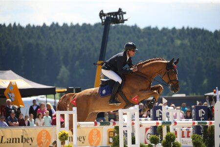 Armin Schäfer und Costa Gavras | © D.Matthaes (Archiv)