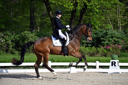 Sophia Kastner mit ihrem Wallach KarnaVal  | © Dill (Archiv)