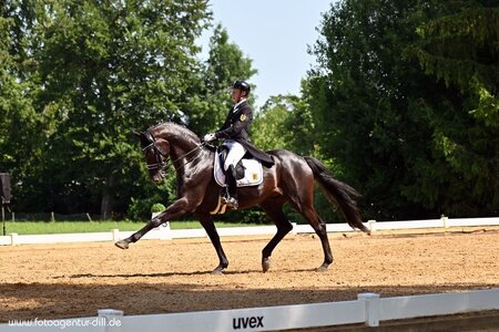Marcel Wolf und Fabiano tanzen durch das Viereck | © Dill (Archiv)