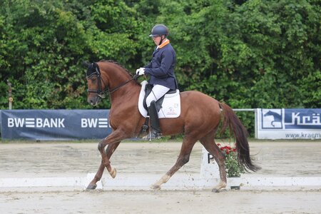 Pieter van der Raadt mit D`cinzano  | © D. Matthaes