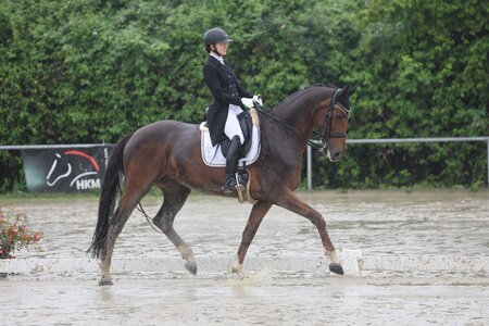 Jana Schlotter mit Deja Vu | © D. Matthaes