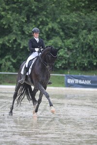 Julia Kühn mit Fürstano | © D. Matthaes