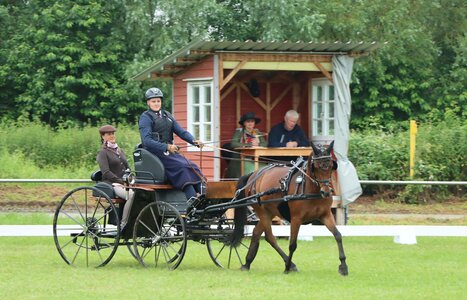 Philipp Stolzenberger mit seinem Pony Galileo. Sie gehen als Führende in die letzte Teilprüfung. | © Herbert Rauser