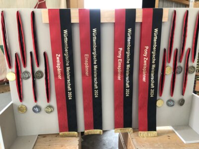 Die Württembergischen Meisterschaften der Fahrer sind voll im Gange.  | © Knisel-Eberhard