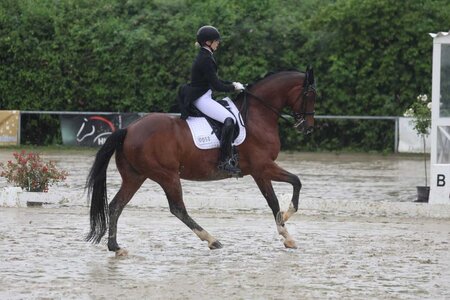 Skadi von Reden in Ladenburg mit Valentino | © D. Matthaes