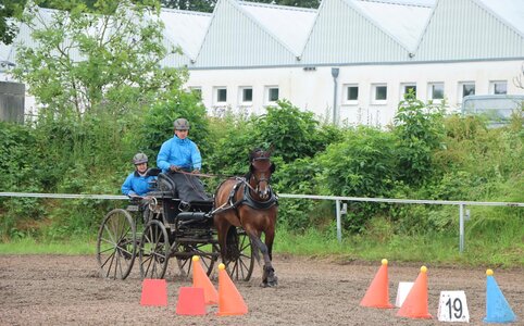 Jens Motteler entscheidet das abschließende Kegelfahren der Zwei-Sterne-Prüfung für sich. | © Herbert Rauser