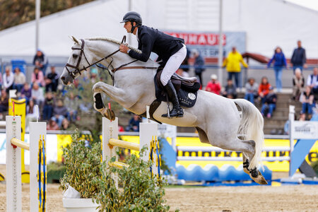 Churchill präsentierte sich auch in Mannheim unter Richard Vogel in Top-Form. | © Lafrentz (Archiv)