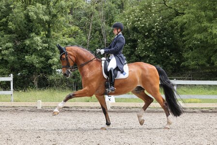 Myriam Anhalt und Rocco Granata gewinnen die S-Dressur in Weil am Rhein. | © as-fotograf