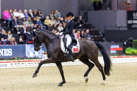 Destano, hier in Basel, ist mit seinen 17 Jahren nach wie vor fit wie eh und je. | © Lafrenz