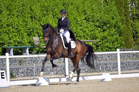 Anna-Lisa Schepper und EMH Rock'n Rose schnappten sich den Sieg in der ersten S-Dressur von Ludwigsburg.  | © Dill