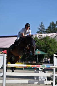 Günter Treiber und Cassis starten mit Platz vier stark in die Deutschen Meisterschaften.  | © Dill
