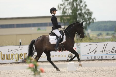 Sieg in der zweiten Wertung der Dressur-Meisterschaften für Allegra Hüttig und Notre Petit. | © D. Matthaes