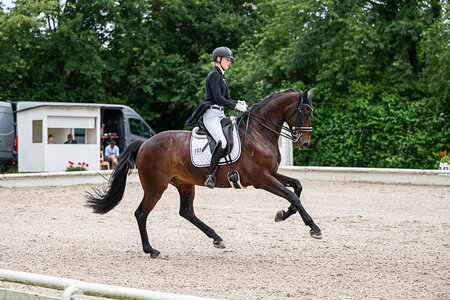 Ann-Kathrin Lindner und FBW Lord of Dance siegten im Kurz Grand Prix von Ludwigsburg. | © Bambi Fotografie