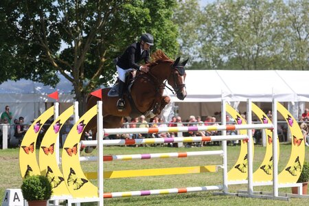 Nick Armbruster startet mit Isodermus erfolgreich in die Future Champions. | © Foto (Archiv): D. Matthaes
