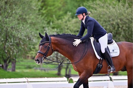 Nicola Haug und Birkhof's Thapelo siegten in der S-Dressur beim Marbacher Youngster Meeting. | © Foto (Archiv): Dill