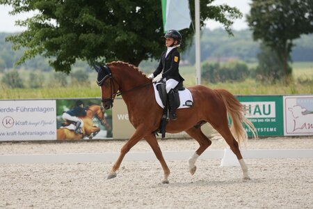 Nach den Süddeutschen Ponymeisterschaften findet nun auch das Landesponyturnier in Rot am See statt. | © Doris Matthaes
