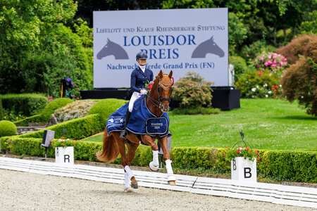 Carina Harnisch und DSP Sheldon Cooper qualifizieren sich für das Finale im Louisdor-Preis. | © Lafrentz