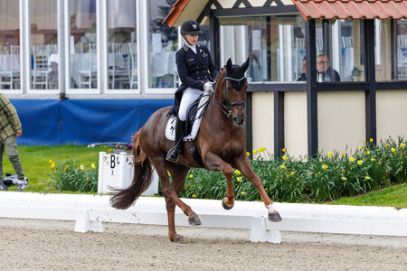 Unter Lena Hassmann sammelte Belinda schon große Erfolge. Nun wechselt die Stute zu Clara Kohoutek. | © Foto: Lafrentz