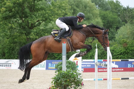 Yassin Hegazy sicherte sich Rang drei sowie den Sieg im M**-Springen. | © D. Matthaes