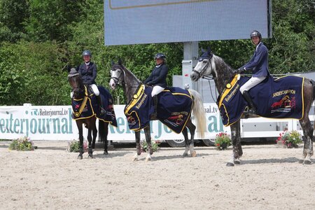 Die frisch ernannten Landeschampions der Springpferde! | © D. Matthaes