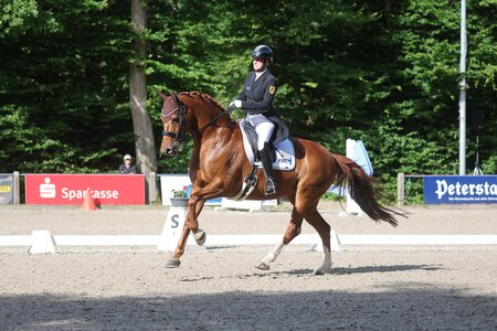 Christine Eberbach und Donna de Luxe sind ein eingespieltes Team | © D.Matthaes (Archiv)