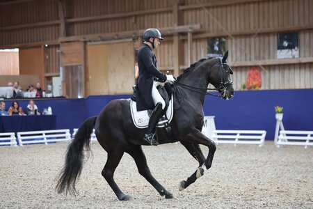 Ein feines Paar: Timo Kemmerer und der Württemberger FBW Dantes Zazou | © D.Matthaes (Archiv)