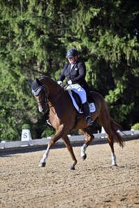 Nicole Kohler mit ihrem Franzel | © Dill (Archiv)