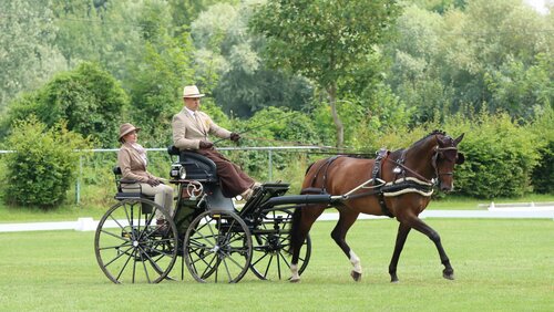 Mit einer sehr guten Dressur hat sich Jens Motteler einen ordentlichen Vorsprung geschaffen und liegt nach wie vor in Führung. | © Herbert Rauser