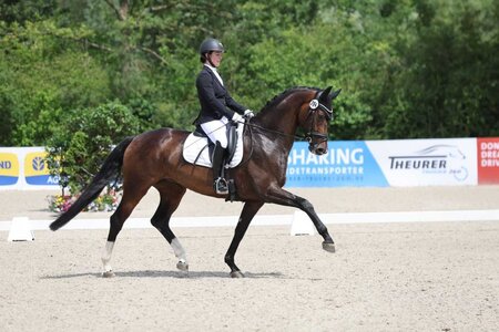 Bundeschampionesse der Sechsjährigen: Vijera | © D. Matthaes