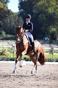 Anna-Lisa Stotmeister und Ferrero | © Dill (Archiv)