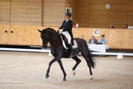 Anica Fröhling sammelte beim Dressurturnier in Dresden gute Platzierungen. | © D. Matthaes