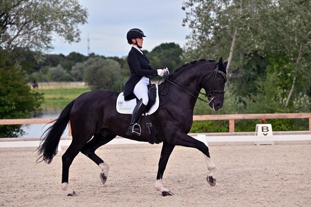 Sieg in Hagau: Anna Casper und Birkhof's Bacardi | © Dill