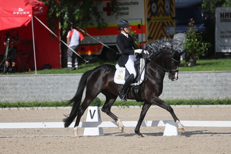 Claudia Rassmann ritt in Güglingen von Sieg zu Sieg. | © D. Matthaes