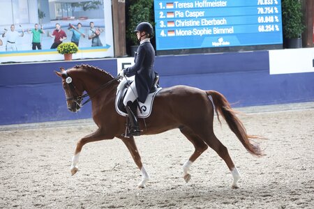 Anna-Lisa Stotmeister mit Fererro (Archivfoto) | © Foto: D. Matthaes