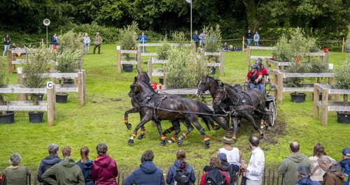 Nach dem Gelände lag Michael Brauchle auf Rang vier. | © Bronkhorst