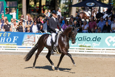 Marcus Hermes und St. Felice 2022 im Finale der Fünfjährigen bei den Bundeschampionaten. | © Lafrentz