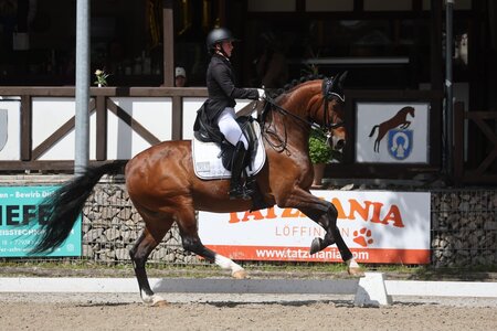 Saskia Löwel mit Belissimo`s Manniboy in Ichenheim | © Doris Matthaes 